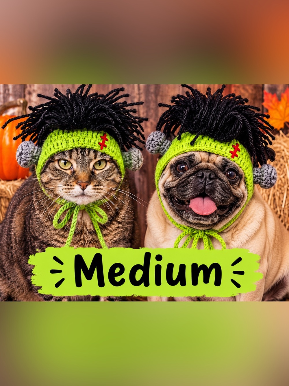 Frankenstein Monster Pet Costume Hat – Knit Yarn Wig